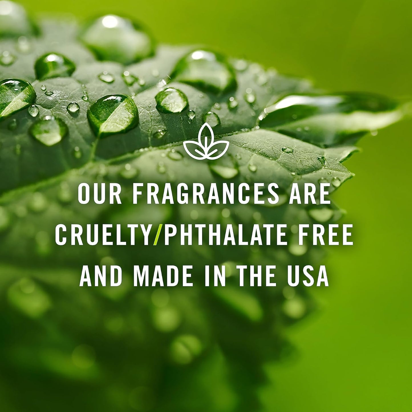 P&J Trading - Winter Mint Scented Oil 100ml - Fragrance Oil for Candle Making, Soap Making, Diffuser Oil