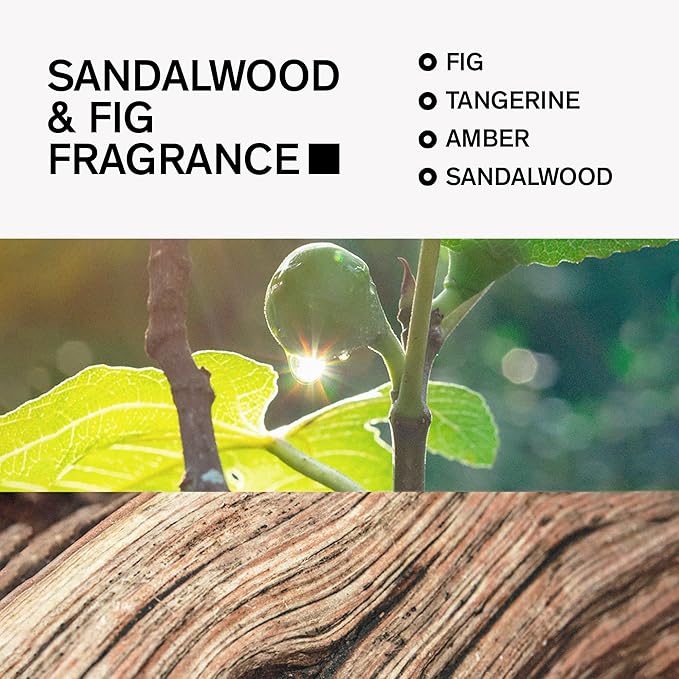 Aluminum-Free Deodorant for Men by Bravo Sierra, 2-Pack - Contains Natural Ingredients – Long Lasting All-Day Odor and Sweat Protection - Sandalwood and Fig, 3.2 oz -Paraben-Free, Vegan & Cruelty-Free