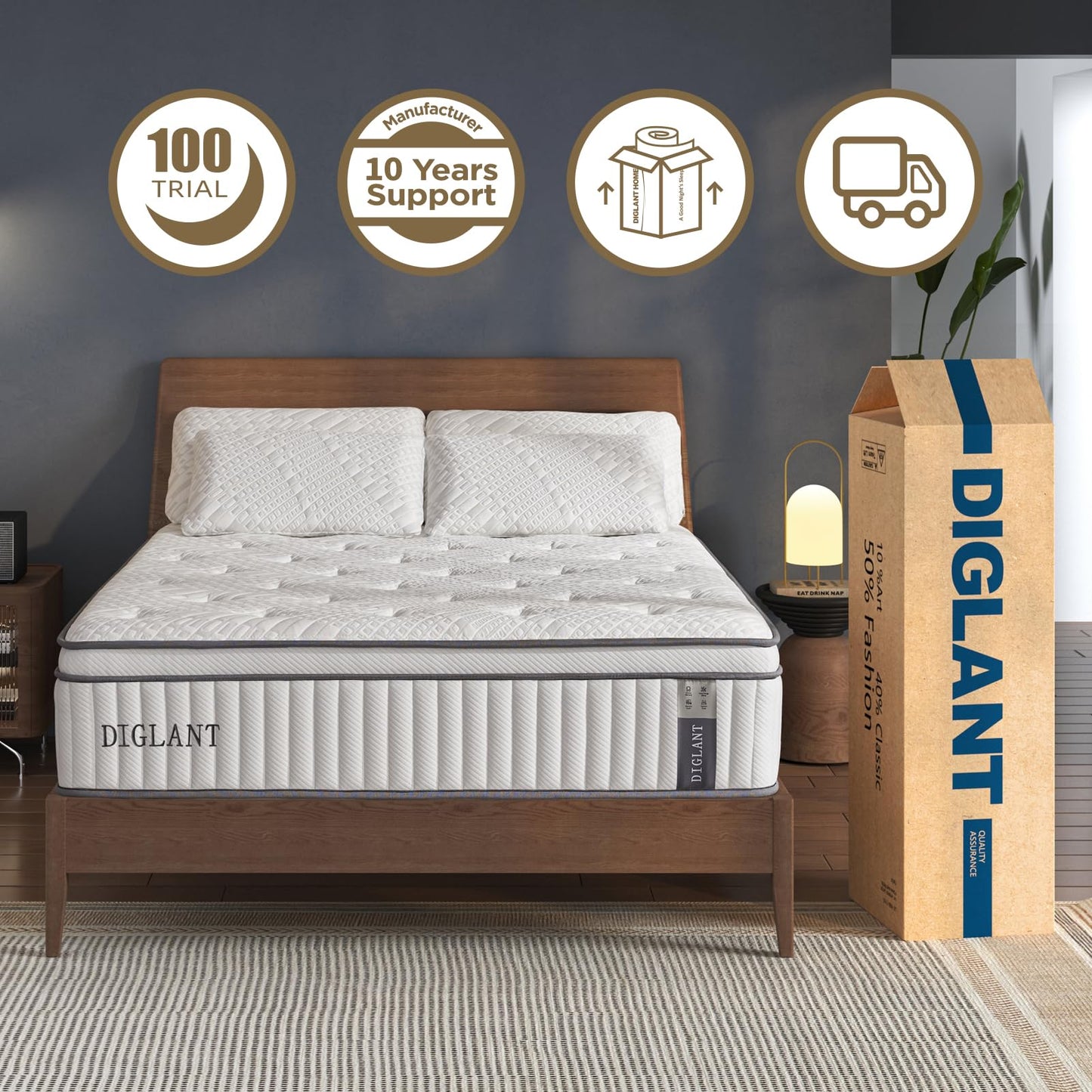 DIGLANT Queen Mattress, 14 Inch Euro Top Medium Feel Hybrid Mattress, Gel Memory Foam with Pocket Springs, Pressure Relief & Edge Support Queen Size Mattresses in a Box, CertiPUR-US, 60"*80"